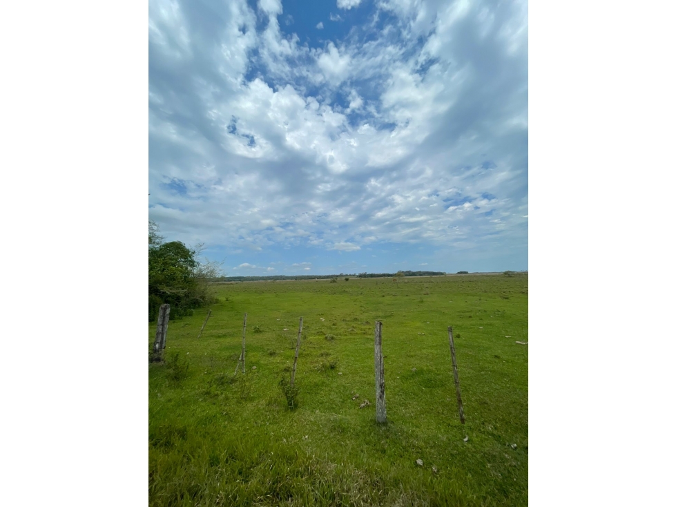 VENDO 16 HECTÁREAS EN TOBATI — foto 2