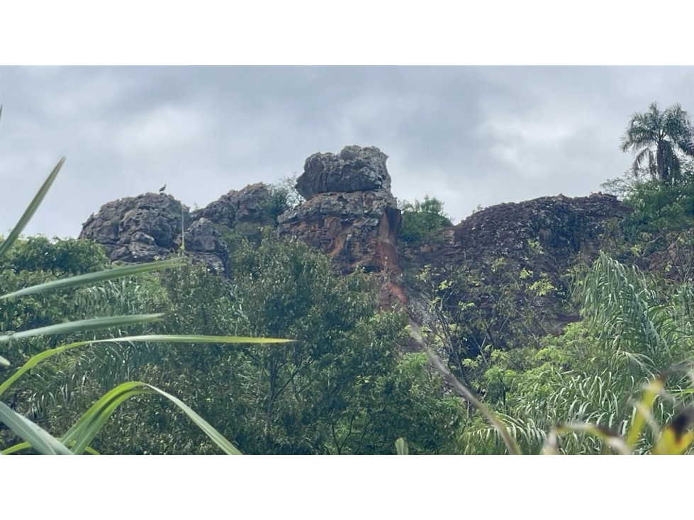 Vendo 14,6 hectáreas en Caacupé con vista al Cerro Kavaju — foto 2