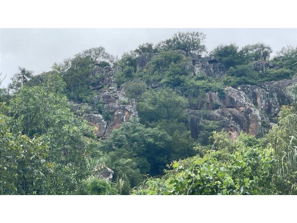 Vendo 14,6 hectáreas en Caacupé con vista al Cerro Kavaju — foto 3