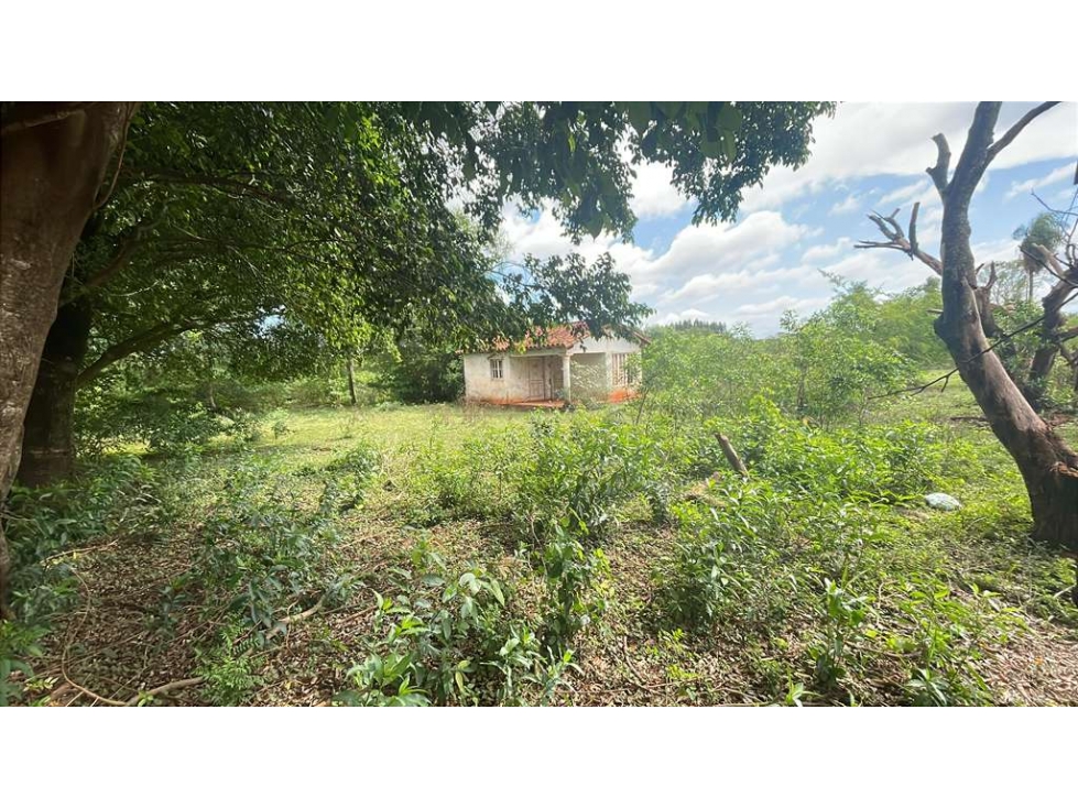 Vendo propiedad de 12,6 ha en Carapeguá — foto 3