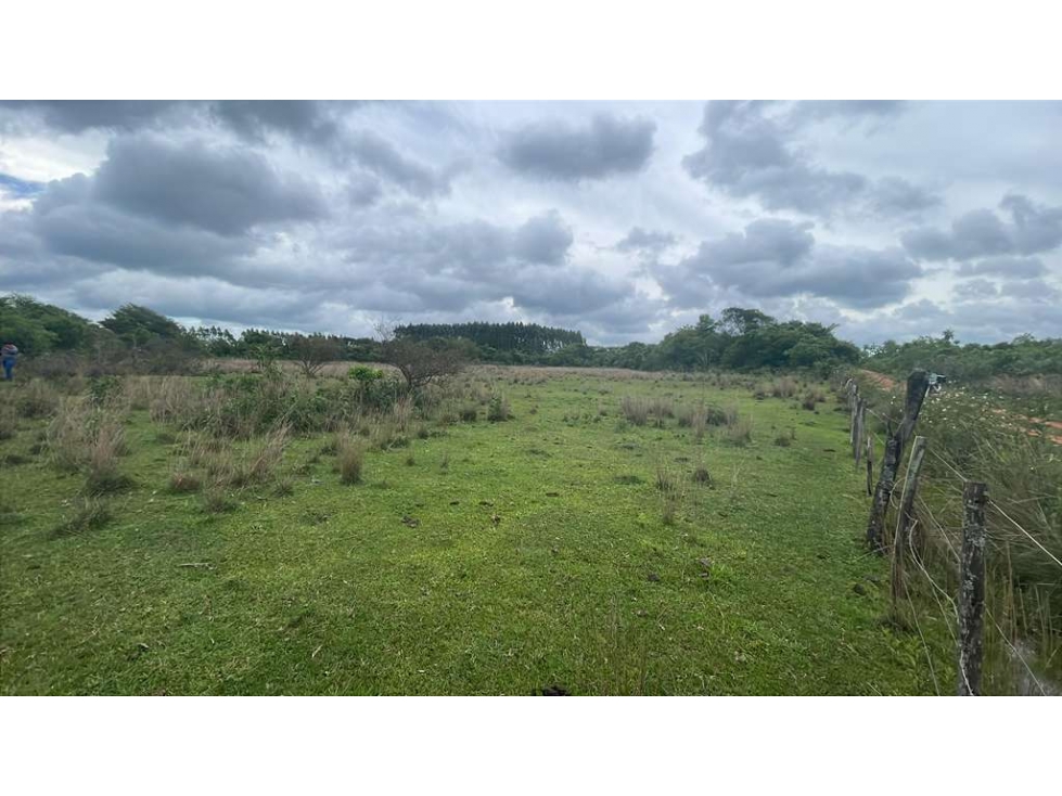 Vendo propiedad de 12,6 ha en Carapeguá — foto 2