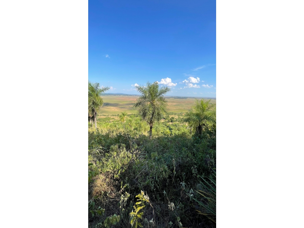 Vendo 50 hectáreas en Caapucu — foto 2