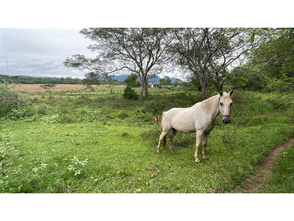 Inversión Agropecuaria en Paraguay: 90 Ha en Acahay con arroyo — foto 3