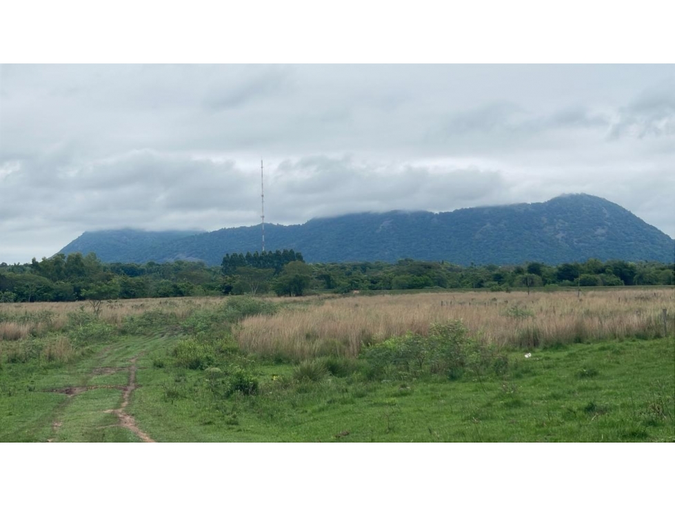 Inversión Agropecuaria en Paraguay: 90 Ha en Acahay con arroyo — foto 2