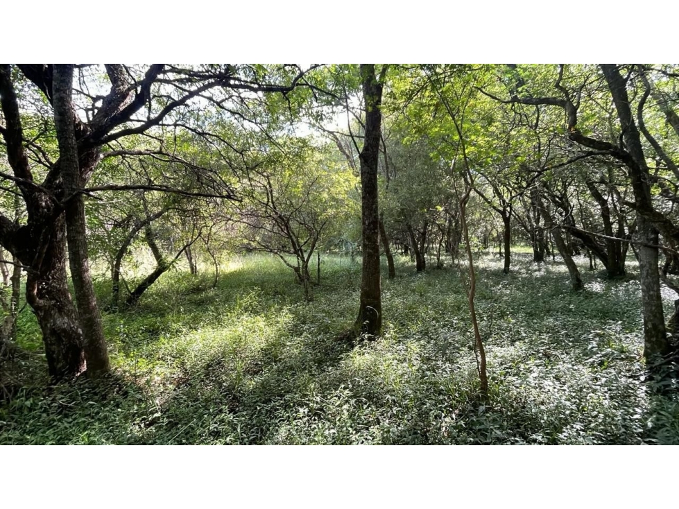 Campo de 34 Hectáreas con arroyo y vistas en Venta en Acahay, Paraguay — foto 3