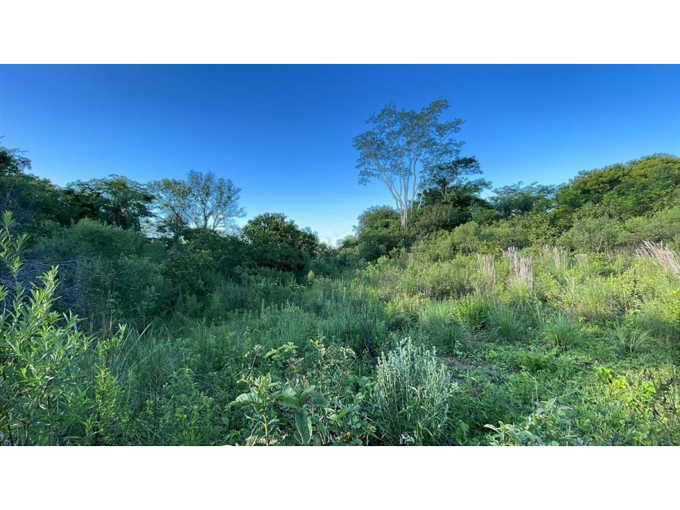 Venta de Quinta de 2,5 Hectáreas con Casa en Acahay, Paraguay — foto 3