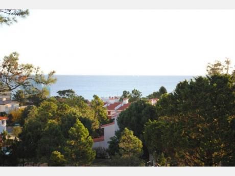 Apartamentos En Playa Mansa: Dga1019a
