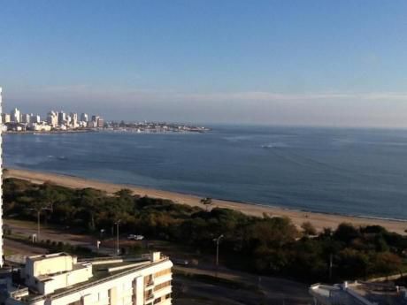 Apartamentos En Playa Mansa: Dga1203a