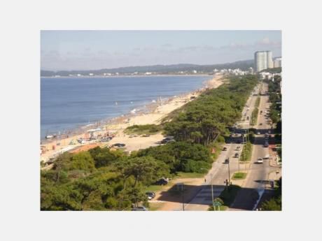 Apartamentos En Playa Mansa: Dga1915a