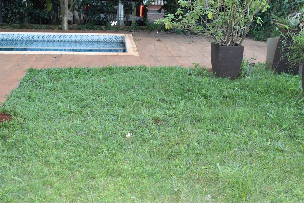 Residencia en Venta – Km 10 Monday, CDE — foto 3