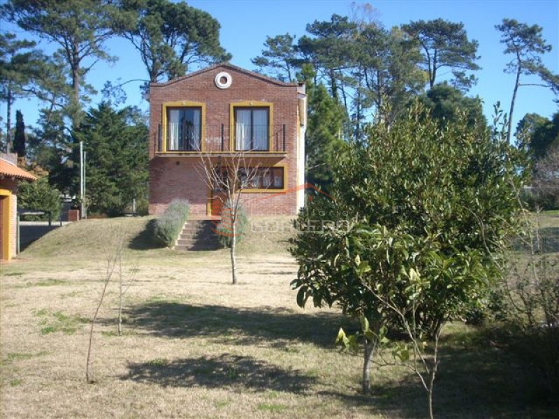 Foto 4 de 15
