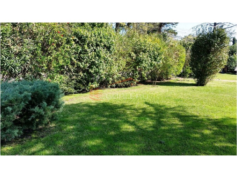 Casa en venta y alquiler en Punta del Este, zona de Playa Mansa. · Foto 5