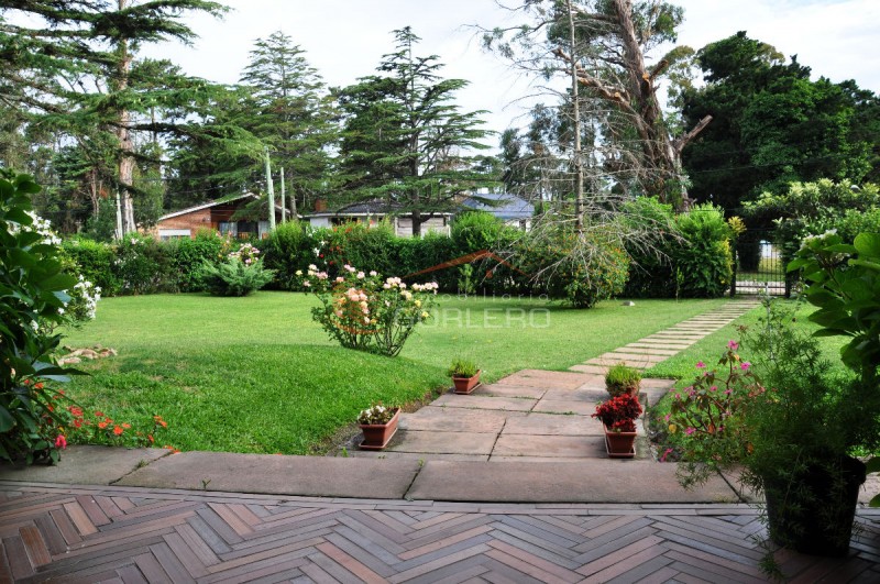Casa en venta y alquiler en Punta del Este, zona de Playa Mansa. · Foto 3