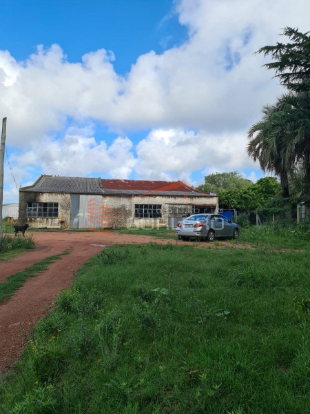 Venta y alquiler de terreno de 1800 y local de 800 m2 en Maldonado, ideal para barraca, distribuidora, fraccionar, construir en altura · Foto 3