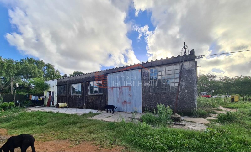 Venta y alquiler de terreno de 1800 y local de 800 m2 en Maldonado, ideal para barraca, distribuidora, fraccionar, construir en altura · Foto 6