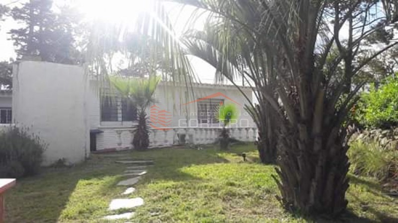 Casa en Venta y alquiler en Punta del Este, zona Jardines de Córdoba · Foto 7