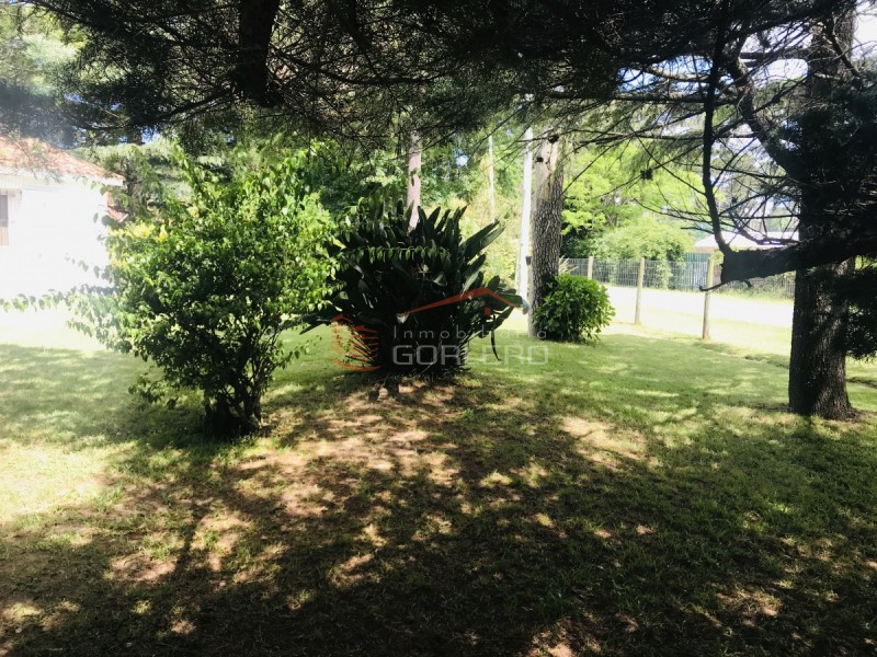 Photo 2 of 15
