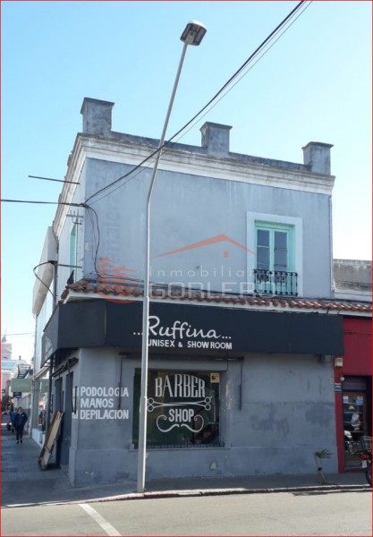 Local en Venta y Alquiler en Maldonado, Céntrico local en 2 plantas, ideal varios rubros · Foto 4