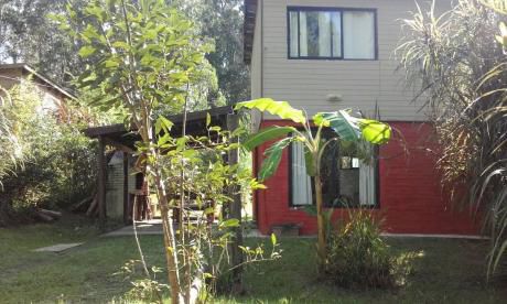 Rancho De Willy Febrero Y Carnaval (oferta X Semana)