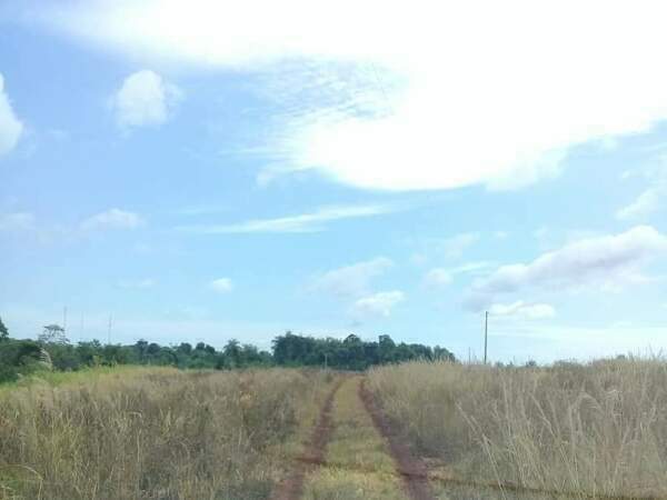 EN VENTA PROPIEDAD DE 41 HAS CON ARROYOS — foto 3