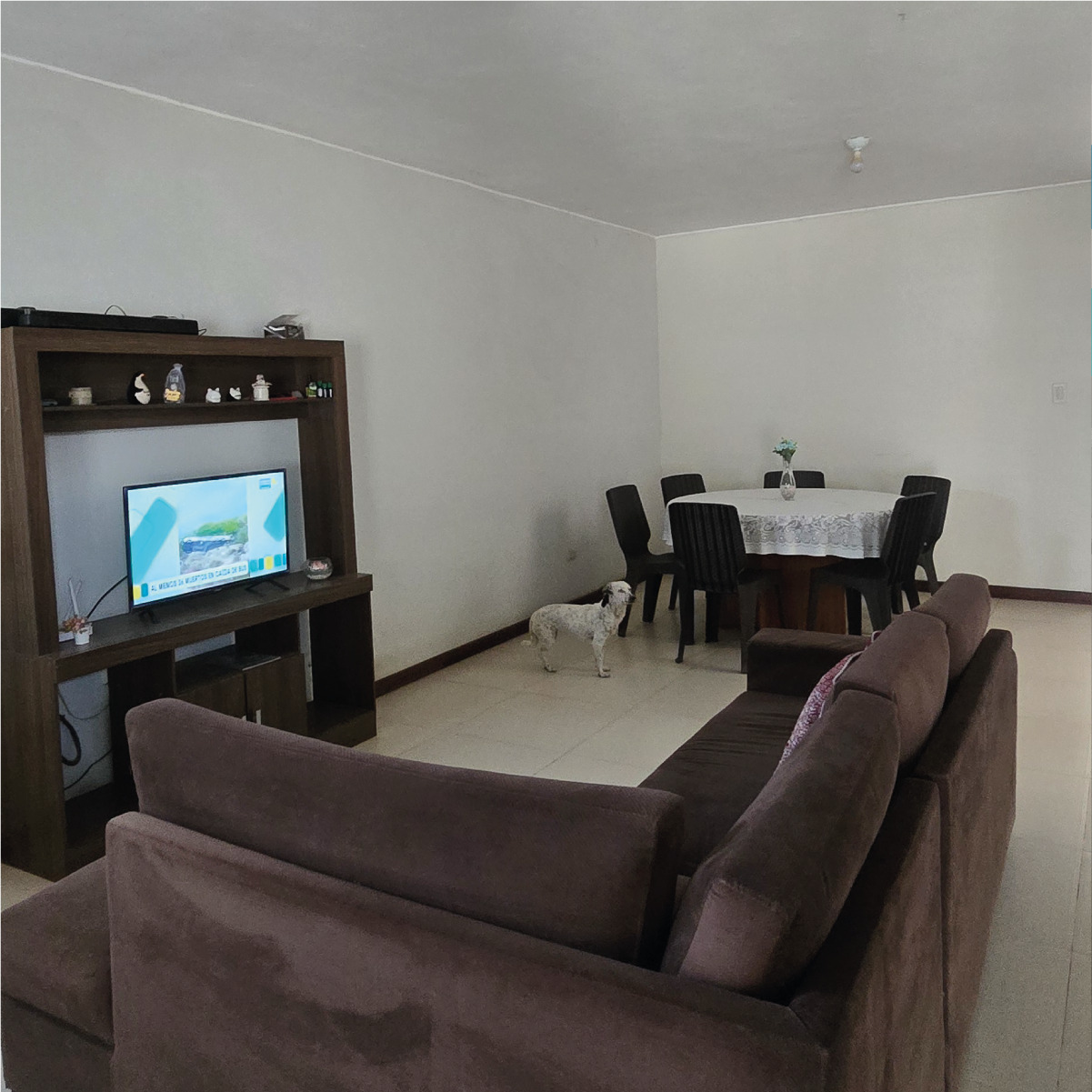 Imagen 9 de Casa