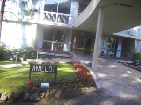 Alquiler De Apartamento En Arcobaleno 2017/2018