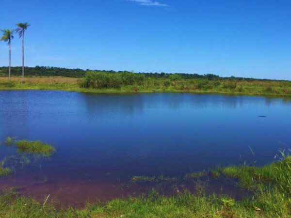 VENDO ESTANCIA EN GENERAL AQUINO. — foto 3