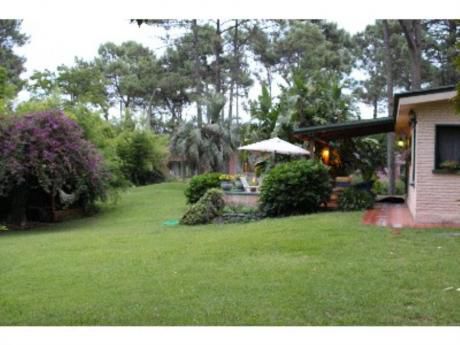 Casas En Punta Ballena: Zda1359c