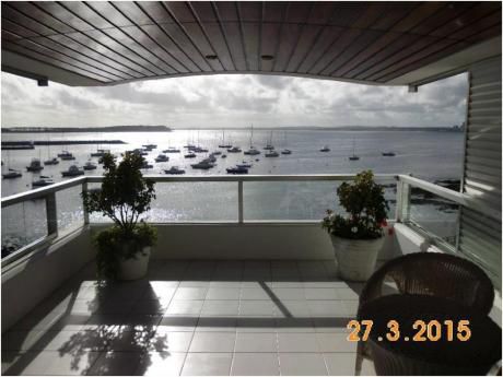 Apartamentos En Puerto Punta Del Este: Zda2003a