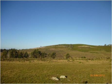 Chacras / Campos En San Carlos: Zda5111h