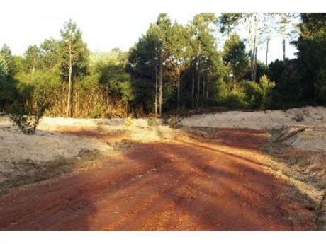 Terrenos En Pinares: Zda6144t