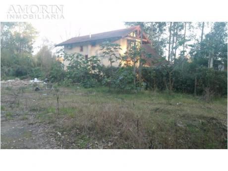 Terrenos En Punta Del Este: Amo12t