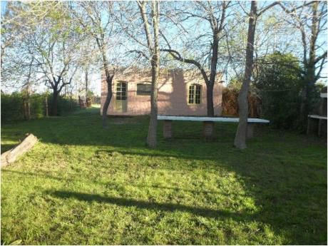 Casas En Punta Del Este: Amo267c