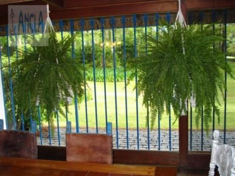 Casas En Playa Brava