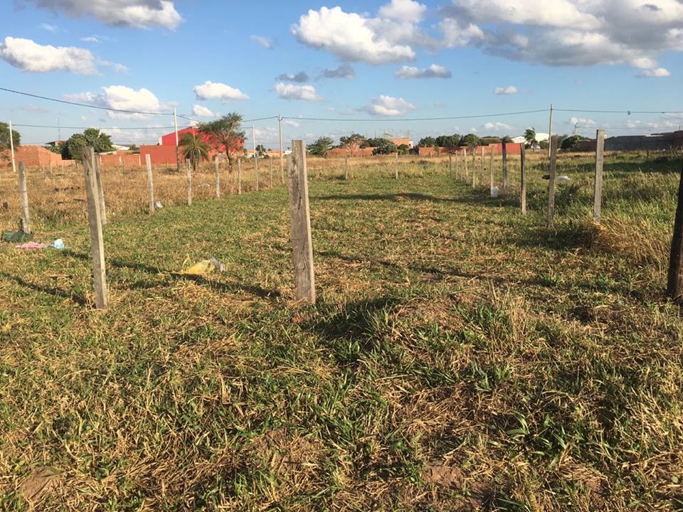 Por Motivo De Salud Se Da En Oferta Lote