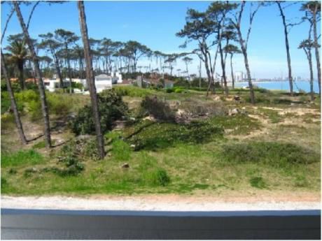 Apartamentos En Pinares: Cro1054a