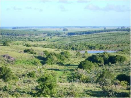 Chacras / Campos En José Ignacio: Cro11h