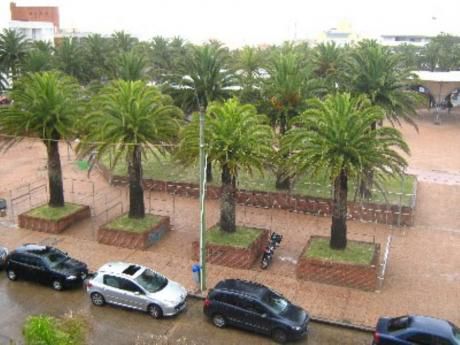 Apartamentos En Península: Cro2499a