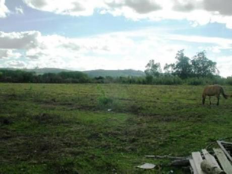 Chacras / Campos En San Carlos: Cro25h