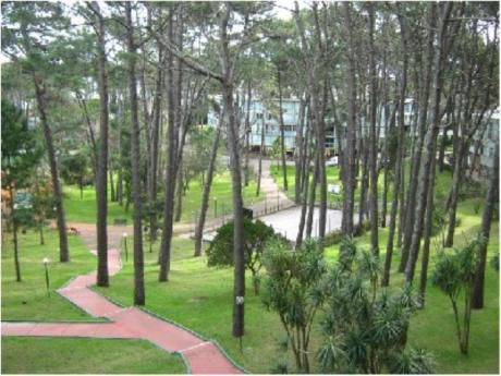 Apartamentos En Playa Mansa: Cro863a