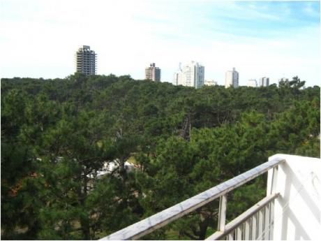 Apartamentos En Playa Mansa: Cro958a