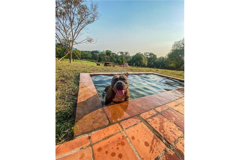 Complejo turístico de lujo en Guaira casi 3ha — foto 3