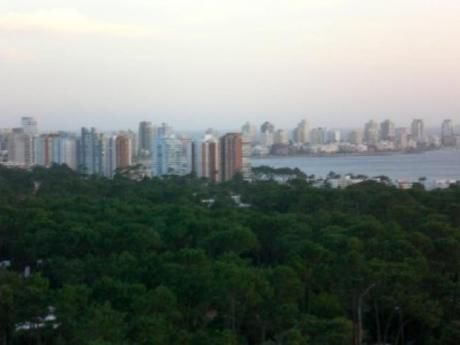 Apartamentos En Roosevelt: Blt185a