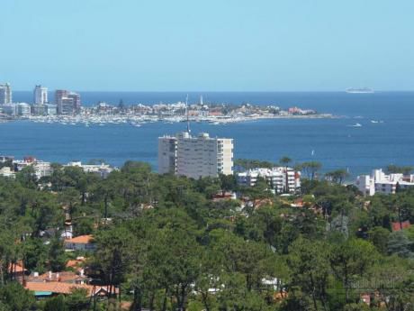 Apartamentos En Roosevelt: Blt6a