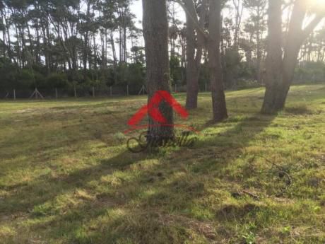 Terrenos En Punta Del Este: Gll1394t