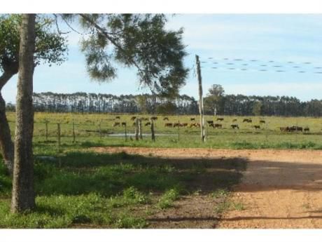 Chacras / Campos En José Ignacio: Sgt10h