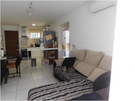 Apartamentos En Maldonado: Jyr1714a