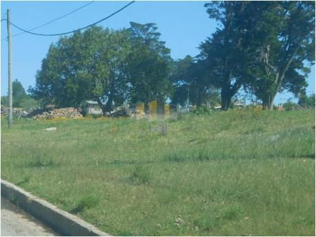 Terrenos En Aigua : Jyr247t