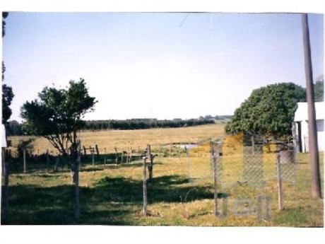 Chacras / Campos En San Carlos: Jyr3h