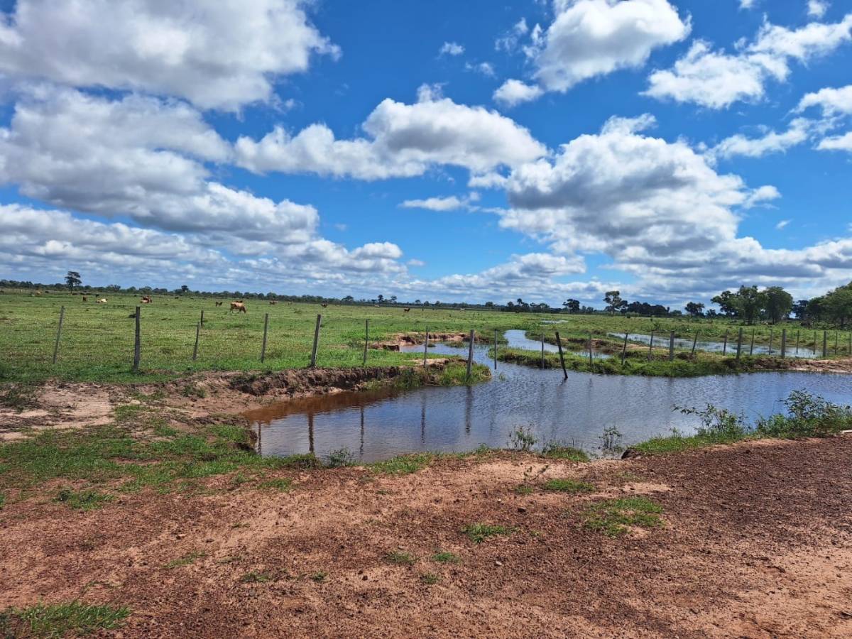 Vendo Hermosa Estancia en Horqueta -Concepción 900 hectareas! — foto 3
